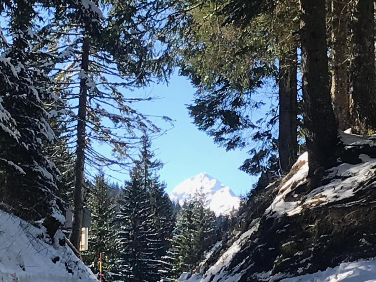 Chalet Stara Jelka Pokljuka Zgornje Gorje Exterior foto