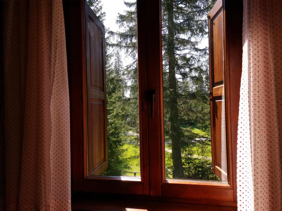 Chalet Stara Jelka Pokljuka Zgornje Gorje Exterior foto