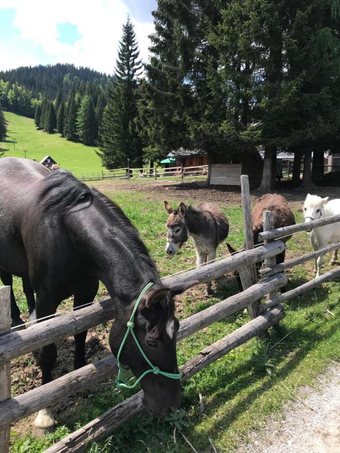 Chalet Stara Jelka Pokljuka Zgornje Gorje Exterior foto