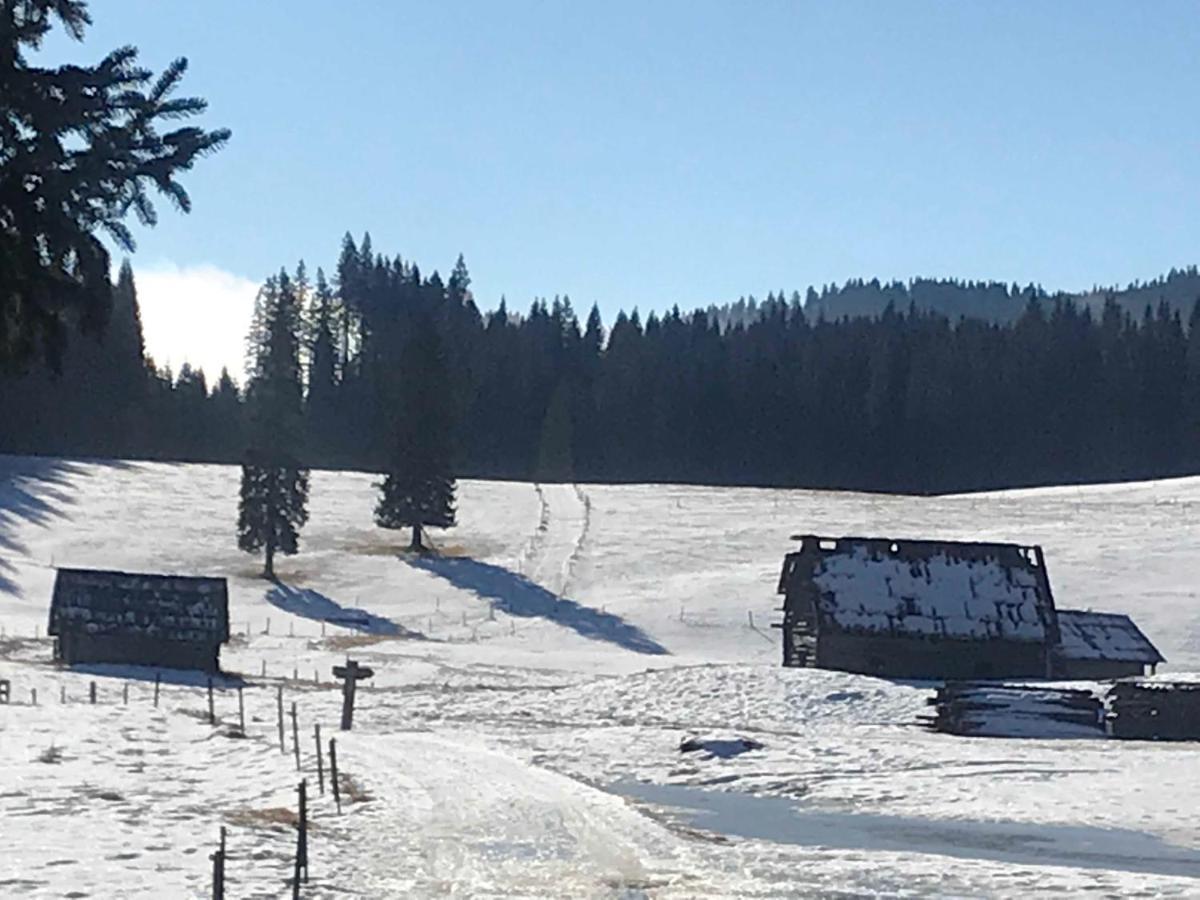 Chalet Stara Jelka Pokljuka Zgornje Gorje Exterior foto