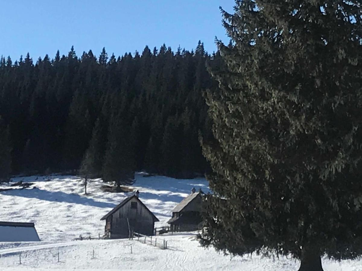 Chalet Stara Jelka Pokljuka Zgornje Gorje Exterior foto