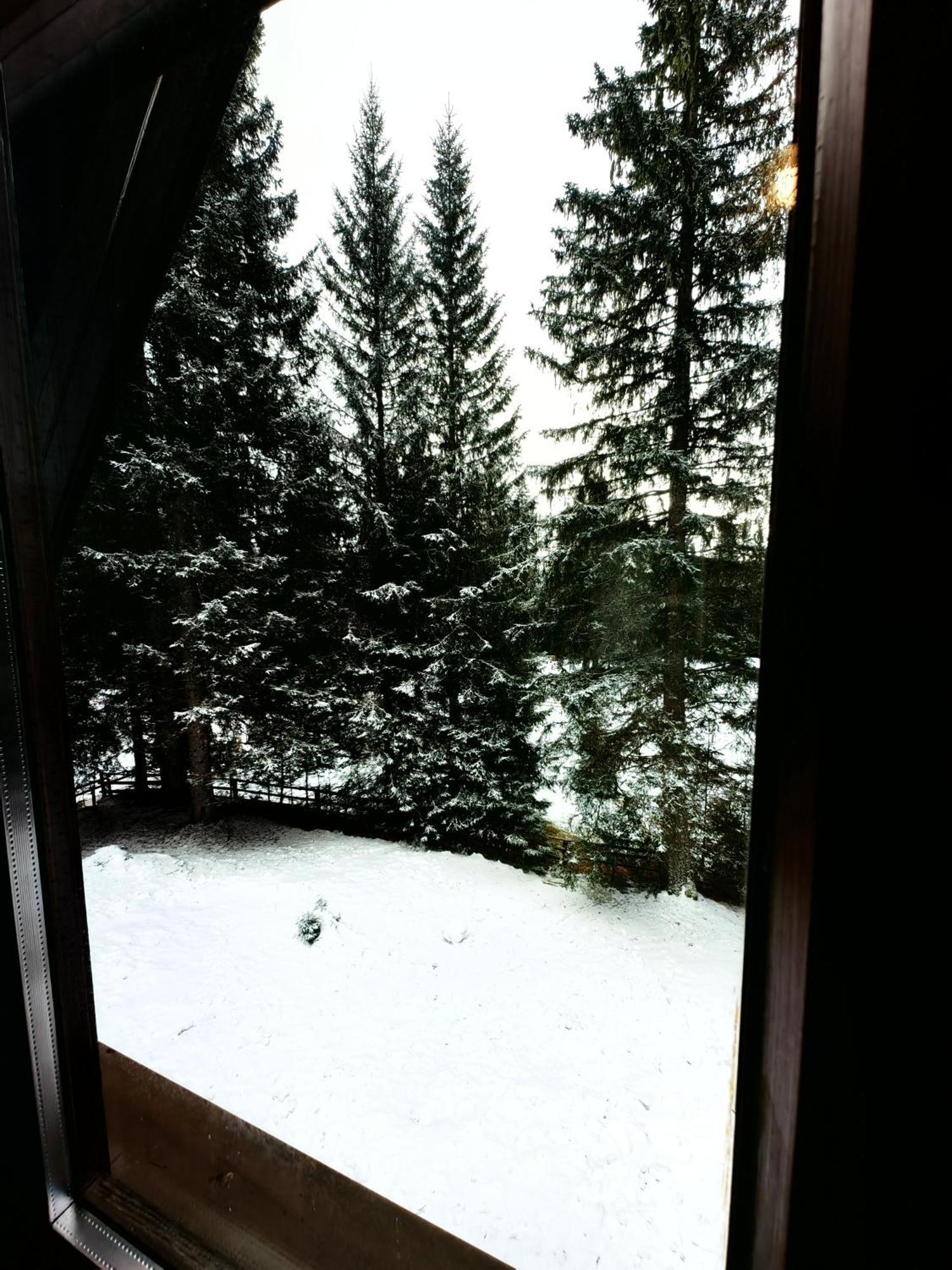 Chalet Stara Jelka Pokljuka Zgornje Gorje Exterior foto